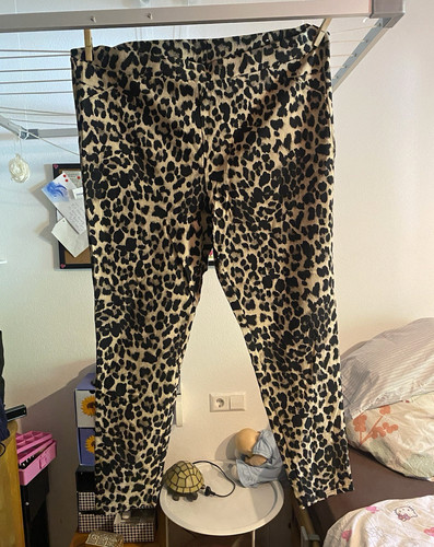 Damenhose größe - damenhose,